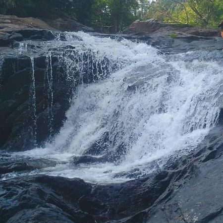 Hotel Tropical Camping Wayanad Meppādi Esterno foto