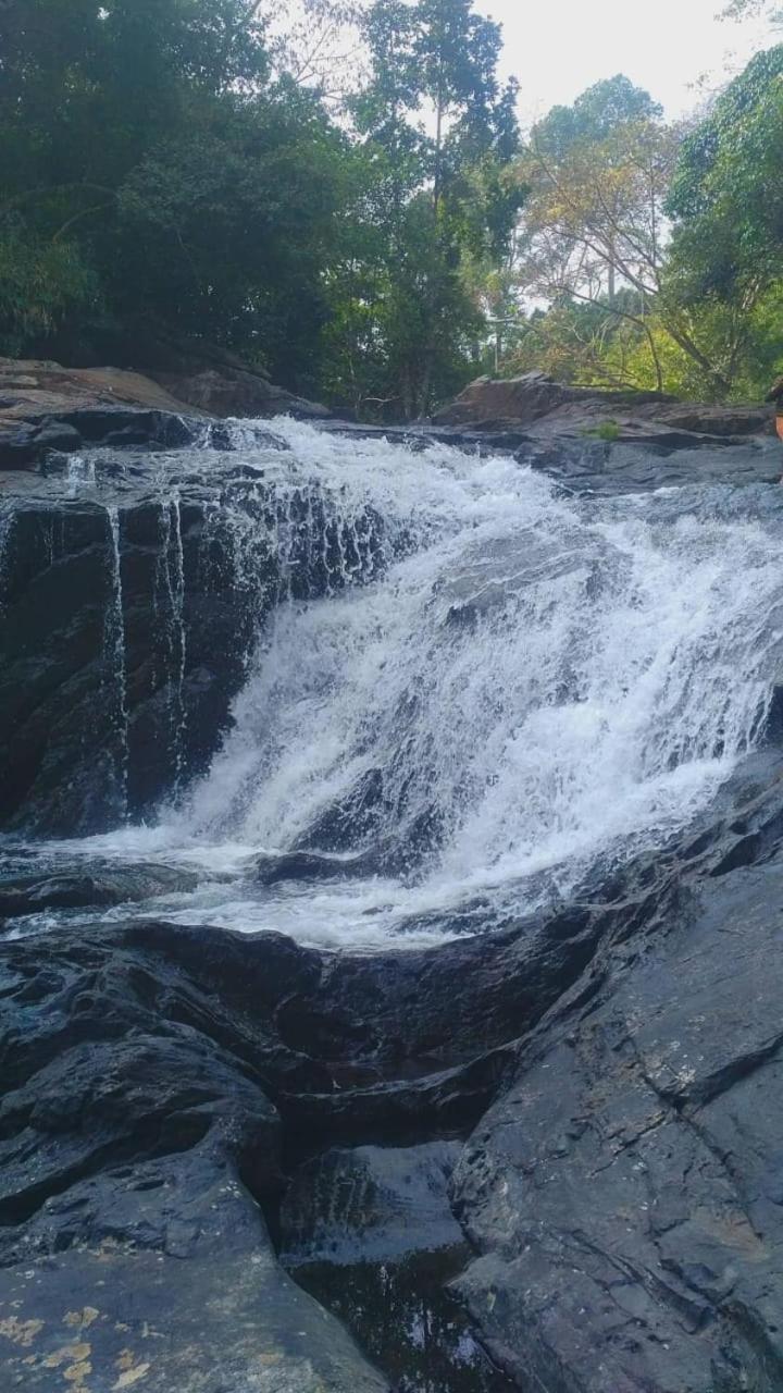 Hotel Tropical Camping Wayanad Meppādi Esterno foto