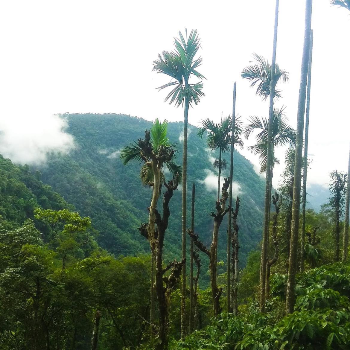 Hotel Tropical Camping Wayanad Meppādi Esterno foto