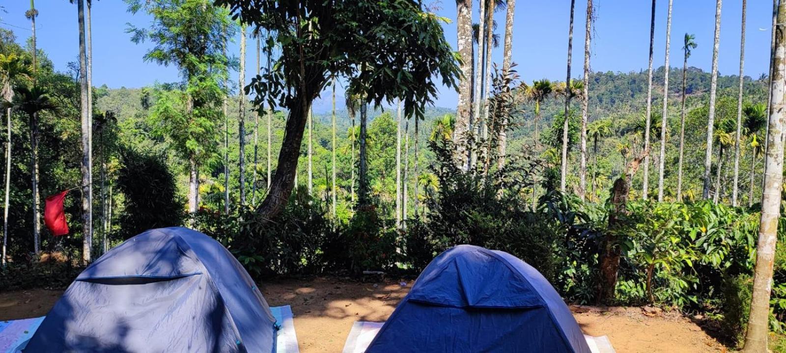 Hotel Tropical Camping Wayanad Meppādi Esterno foto